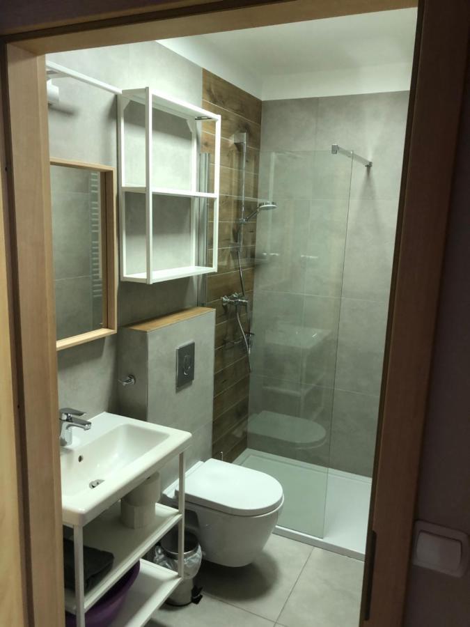Sniezka Apartment ดุสนิกิ สดรอย ภายนอก รูปภาพ